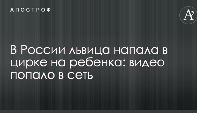 В России львица напала в цирке на ребенка: видео попало в сеть