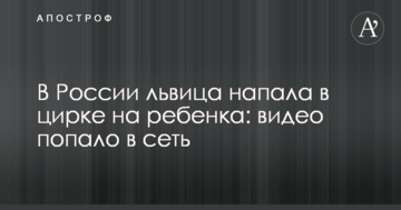 У Росії левиця напала в цирку на дитину: відео потрапило в мережу
