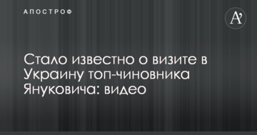 Стало відомо про візит в Україну топ-чиновника Януковича: відео