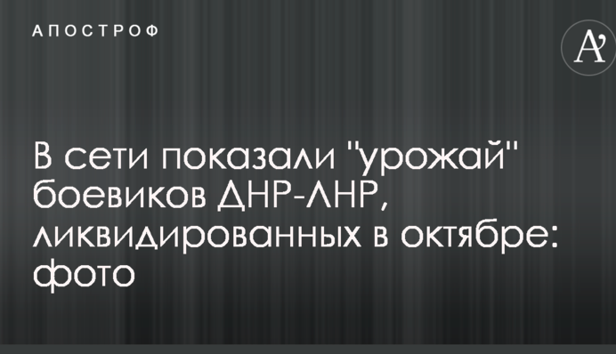 В сети показали 