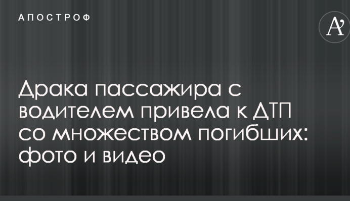 Бійка пасажира з водієм привела до ДТП з великою кількістю загиблих: фото і відео