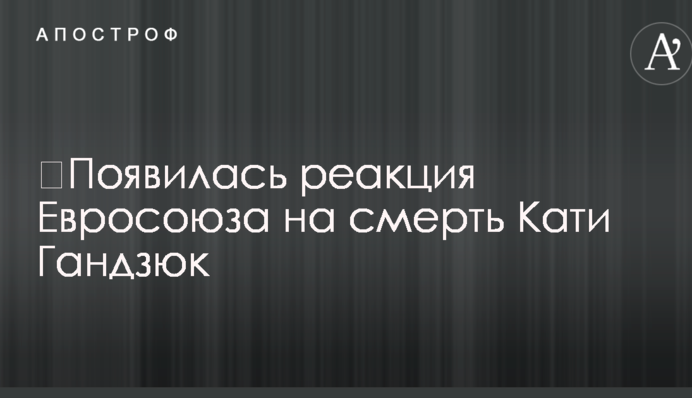 ​Появилась реакция Евросоюза на смерть Кати Гандзюк
