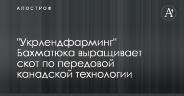 "Укрлендфарминг" Бахматюка выращивает скот по передовой канадской технологии