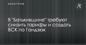 У "Батьківщині" вимагають знизити тарифи і створити ТСК по Гандзюк