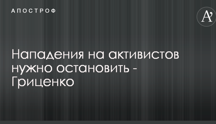 Напади на активістів треба зупинити - Гриценко