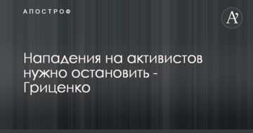 Напади на активістів треба зупинити - Гриценко