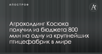 Агрохолдинг Косюка получил из бюджета 800 млн на одну из крупнейших птицефабрик в мире