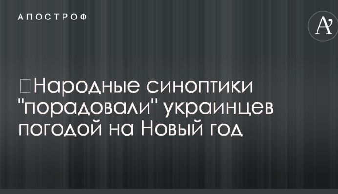 ​Народні синоптики "порадували" українців погодою на Новий рік
