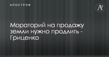 Мораторій на продаж землі потрібно продовжити - Гриценко