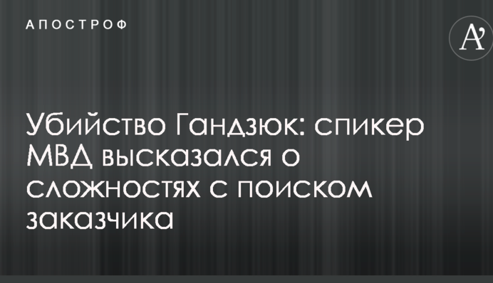 Вбивство Гандзюк: спікер МВС висловився про складнощі з пошуком замовника