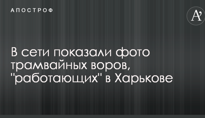 У мережі показали фото трамвайних злодіїв, які 