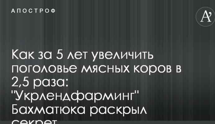Як за 5 років збільшити поголів'я м'ясних корів в 2,5 рази: 