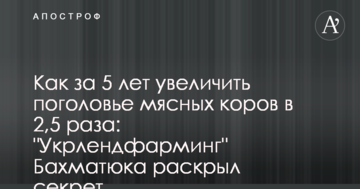 Как за 5 лет увеличить поголовье мясных коров в 2,5 раза: "Укрлендфарминг" Бахматюка раскрыл секрет