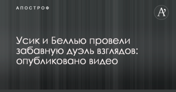 Усик и Беллью провели забавную дуэль взглядов: опубликовано видео