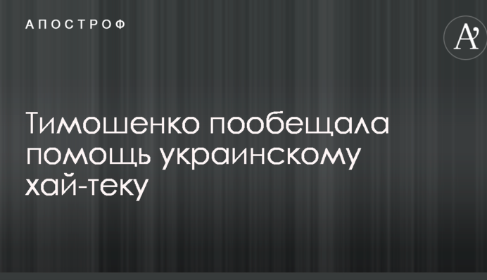 Тимошенко пообещала помощь украинскому хай-теку