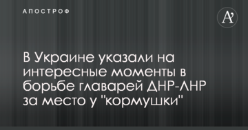 В Україні вказали на цікаві моменти в боротьбі ватажків ДНР-ЛНР за місце біля "корита"