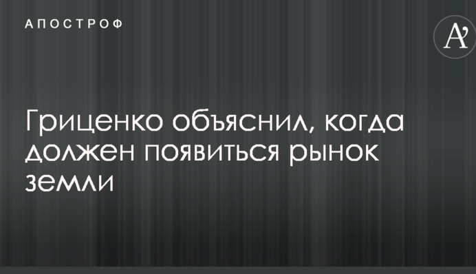 Гриценко объяснил, когда должен появиться рынок земли