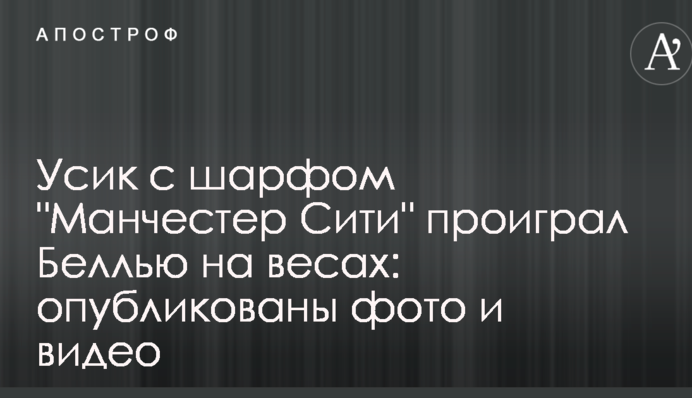 Усик з шарфом 