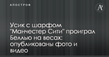 Усик с шарфом "Манчестер Сити" проиграл Беллью на весах: опубликованы фото и видео