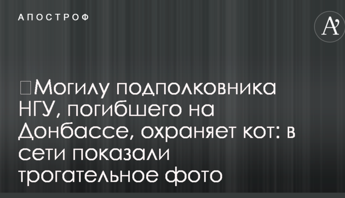 ​Могилу подполковника НГУ, погибшего на Донбассе, охраняет кот: в сети показали трогательное фото