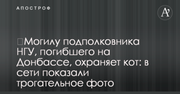 Могилу підполковника НГУ, який загинув на Донбасі, охороняє кіт: в мережі показали зворушливе фото