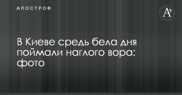 У Києві серед білого дня зловили зухвалого злодія: фото