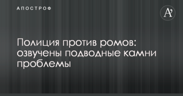 Полиция против ромов: озвучены подводные камни проблемы