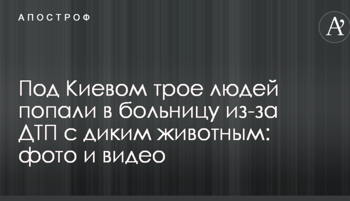 Под Киевом трое людей попали в больницу из-за ДТП с диким животным: фото и видео