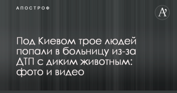 Під Києвом троє людей потрапили до лікарні через ДТП з дикою твариною: фото і відео