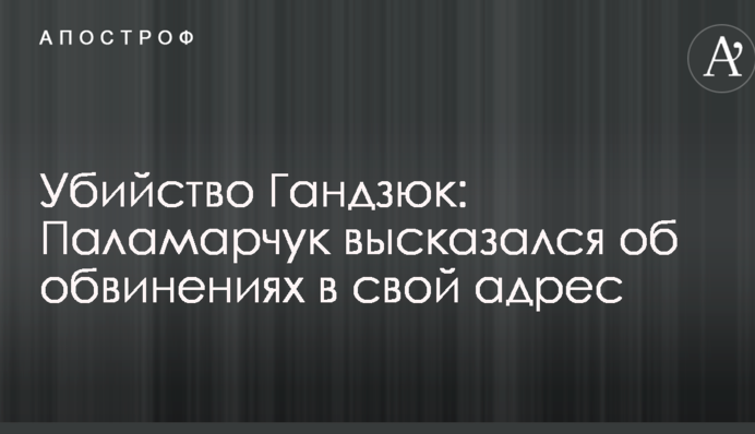 Вбивство Гандзюк: Паламарчук висловився про звинувачення на свою адресу
