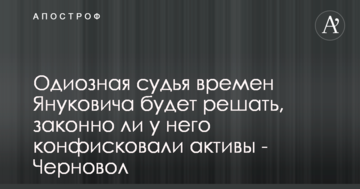 Одиозная судья времен Януковича будет решать, законно ли у него конфисковали активы - Черновол
