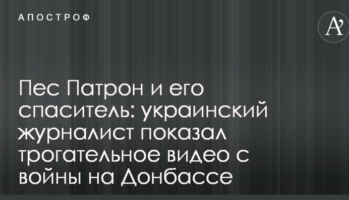Пес Патрон и его спаситель: украинский журналист показал трогательное видео с войны на Донбассе