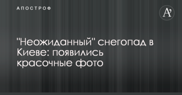 "Несподіваний" снігопад у Києві: з'явилися барвисті фото
