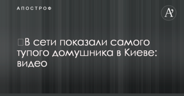 ​У мережі показали найтупішого домушника в Києві: відео