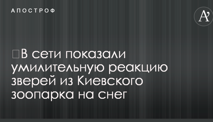 ​У мережі показали зворушливу реакцію звірів із Київського зоопарку на сніг