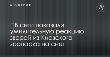 ​У мережі показали зворушливу реакцію звірів із Київського зоопарку на сніг