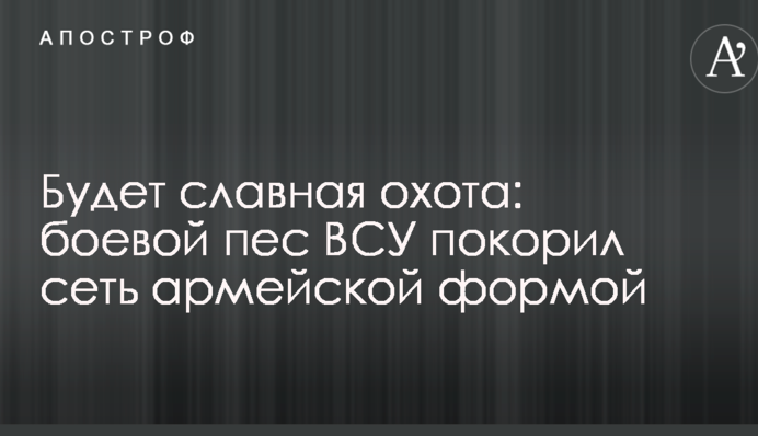 Будет славная охота: боевой пес ВСУ покорил сеть армейской формой
