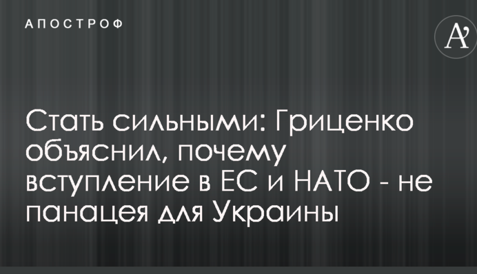 Стати сильними: Гриценко пояснив, чому вступ до ЄС і НАТО - не панацея для України