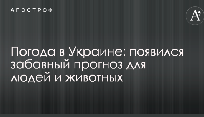 Погода в Україні: з'явився кумедний прогноз для людей і тварин