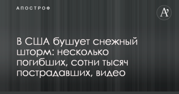 В США бушует снежный шторм: несколько погибших, сотни тысяч пострадавших, видео