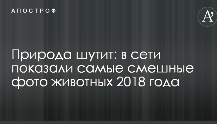 Природа шутит: в сети показали самые смешные фото животных 2018 года