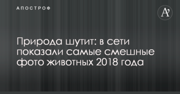 Природа жартує: в мережі показали найсмішніші фото тварин 2018 року