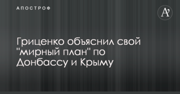 Гриценко пояснив свій "мирний план" по Донбасу і Криму