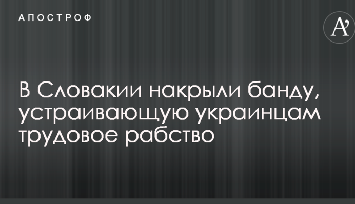 В Словакии накрыли банду, устраивающую украинцам трудовое рабство