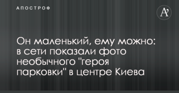 Він маленький, йому можна: в мережі показали фото незвичайного "героя паркування" в центрі Києва