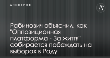 Рабинович объяснил, как "Оппозиционная платформа - За життя" собирается побеждать на выборах в Раду
