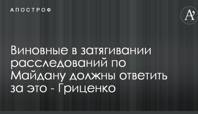 Виновные в затягивании расследований по Майдану должны ответить за это - Гриценко