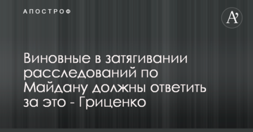 Винні в затягуванні розслідувань по Майдану повинні відповісти за це - Гриценко
