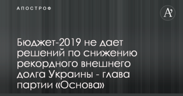 Бюджет на следующий год не решает проблему внешнего долга  - Николаенко