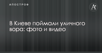 У Києві спіймали вуличного злодія: фото і відео